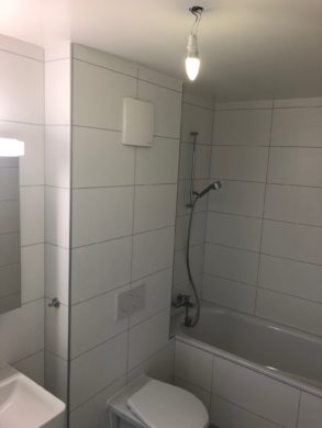 Magnifique appartement 3.5 pièces dans une petite copropriété - Bains