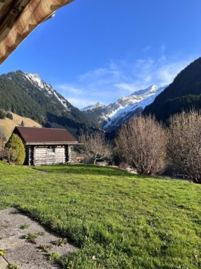 Chalet 6.5 pièces à L'Etivaz - Chalet mitoyen à l'Etivaz - Image