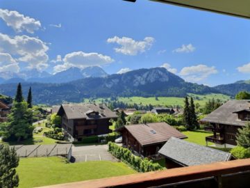 Appartement 3.5 pièces à Château-d'Oex - Agréable appartement de 3.5 pièces à vendre à Château-d'Oex ! - Image