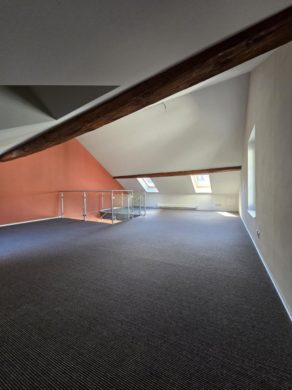Appartement 3 pièces à Yverdon-les-Bains - Charmant 3 pièces en triplex - Combles