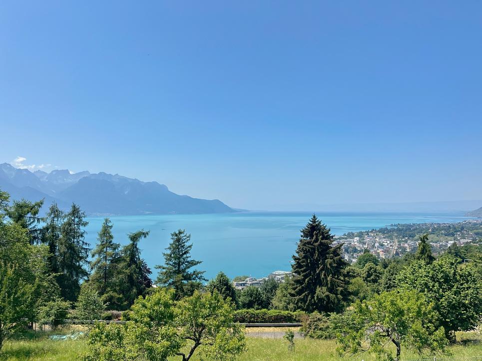 Appartement 4.5 pièces à Chernex - Vue à couper le souffle - séjour immense - Image